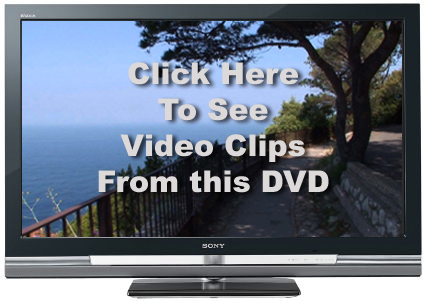 Watch Video Clips